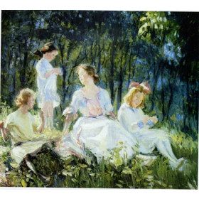 A Sunlit Afternoon