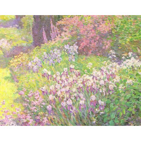 Irises