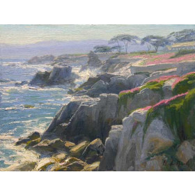 Pacific Grove Coast