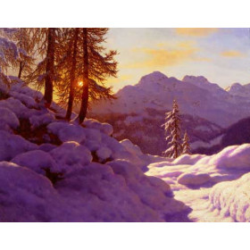 Snowy Landscape