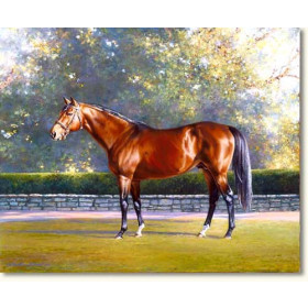 El Grand Senor