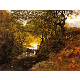 Deer In A Woodland Glade