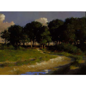 Nantucket Pines