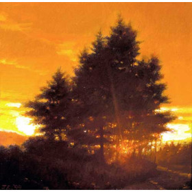 Sunset Tree