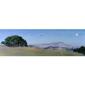 Lone Tree Hill