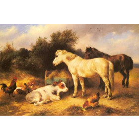 Ponies, A Calf and Poultry In a Farmyard