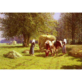Haymaking