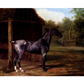 Lord Rivers Roan Mare In A Landscape