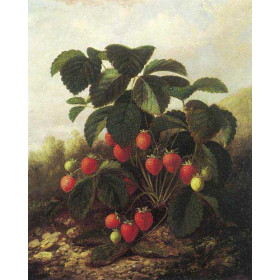 Wild Strawberries