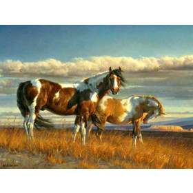 The Painted Desert