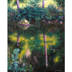 Reflected World